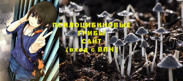 шишки Алексеевка