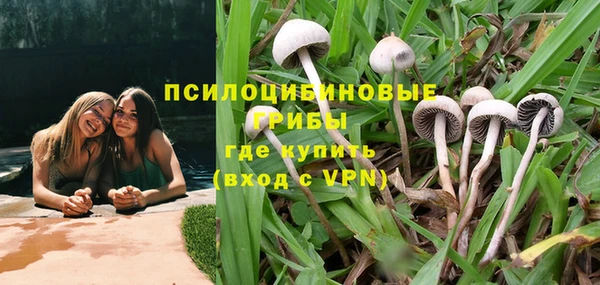 Альфа ПВП Елизово