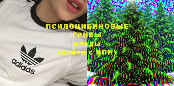 шишки Алексеевка