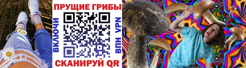даркнет официальный сайт  Покров  Псилоцибиновые грибы GOLDEN TEACHER 